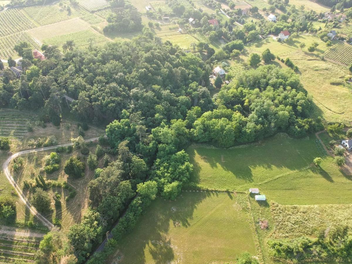 Pilikan Apartments - Park, Agroturism, Vineyard & Farm Cserszegtomaj Eksteriør bilde