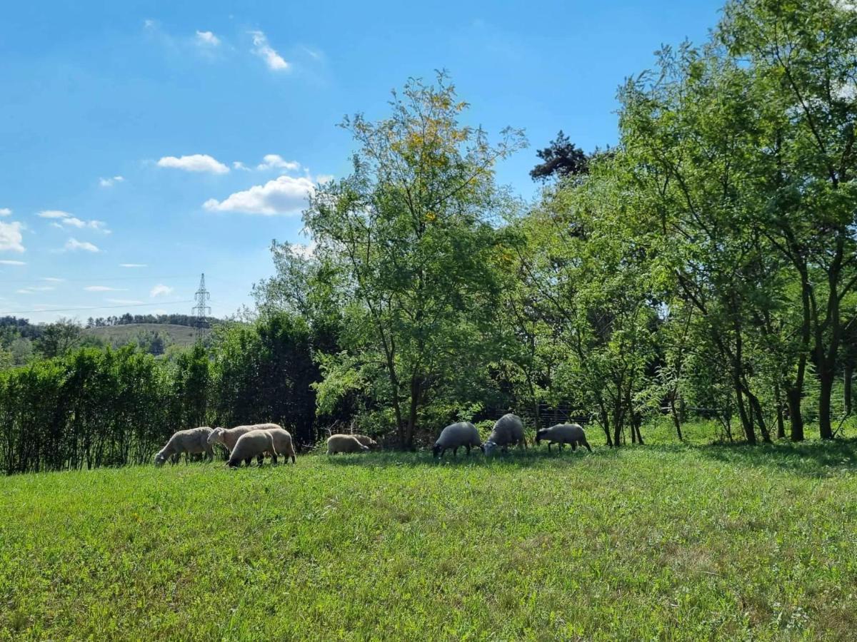 Pilikan Apartments - Park, Agroturism, Vineyard & Farm Cserszegtomaj Eksteriør bilde